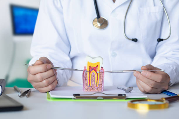 Best Pediatric Emergency Dentist in Rochester, NH